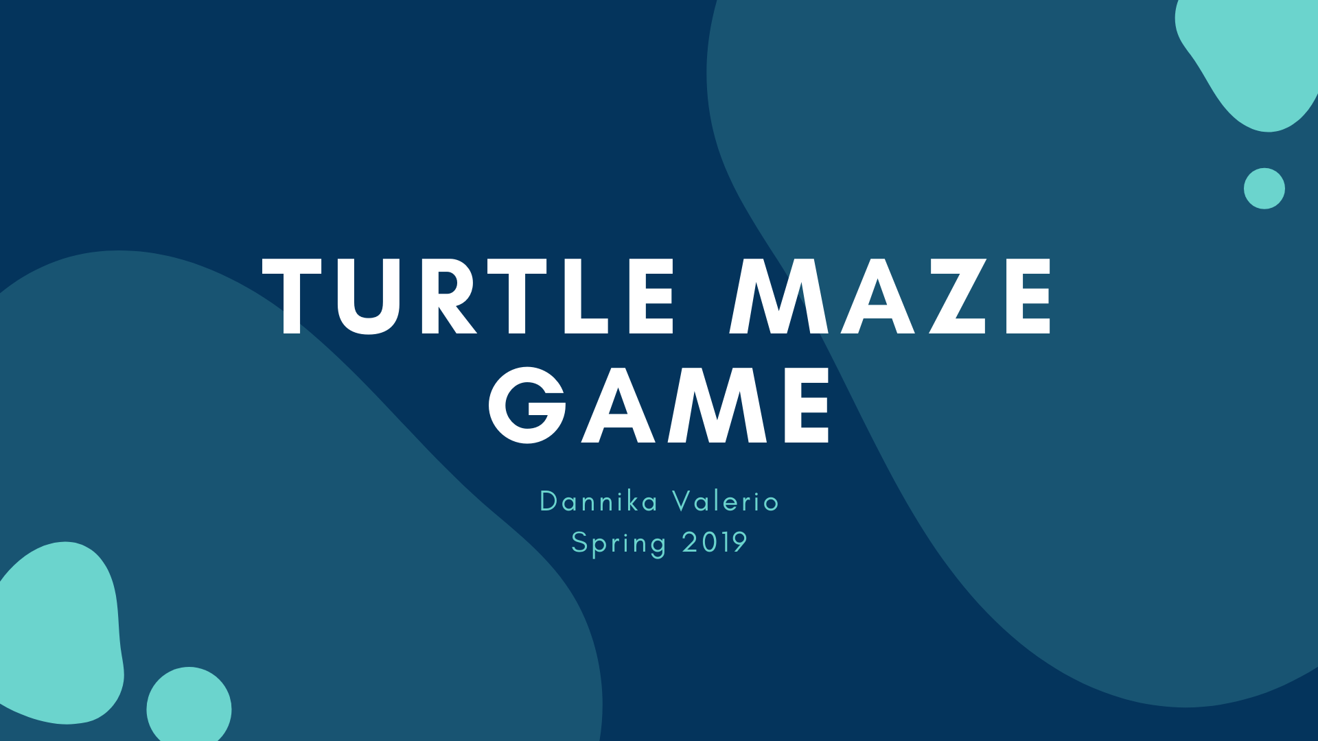 Turtle Maze Game Image
